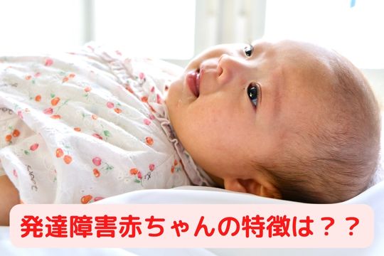発達障害児赤ちゃんの特徴0歳1歳2歳3歳4歳と小学生の傾向 家族円満になるためのブログ